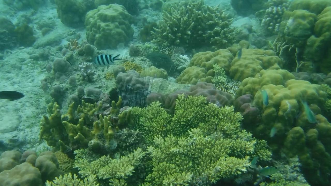 Iris Island Eco Resort Busuanga Εξωτερικό φωτογραφία